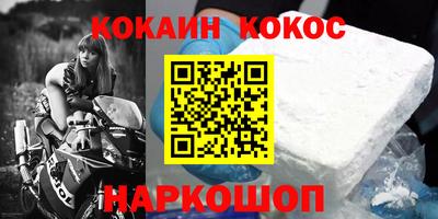 гашик Кингисепп