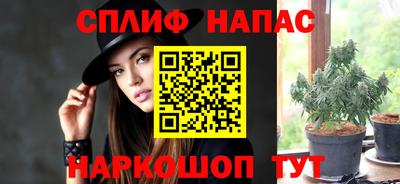 прущие грибы Канаш