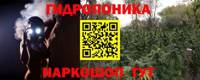 прущие грибы Канаш