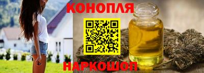 гашик Кингисепп