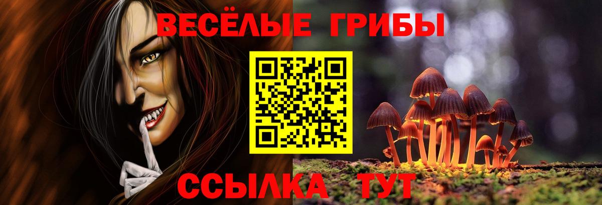 Галлюциногенные грибы мицелий  хочу   Людиново  Вход с VPN 